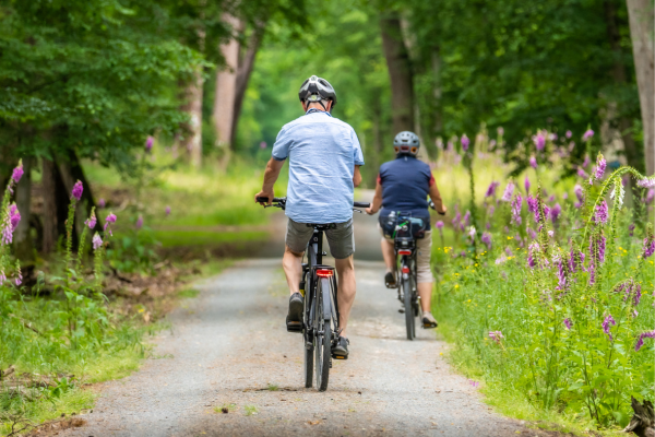 Destinos Ciclísticos Terapêuticos: Roteiros Relaxantes para Pessoas com Sobrepeso acima dos 40 anos